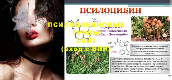 мяу мяу мука Арсеньев