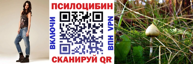 Галлюциногенные грибы Psilocybine cubensis  магазин    Магадан 
